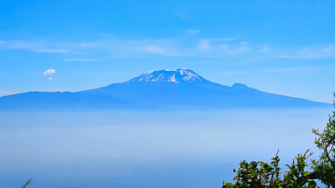 A clear view of Mount Kilimanjaro's snowy peak rising above a thick layer of white clouds under a blue sky.