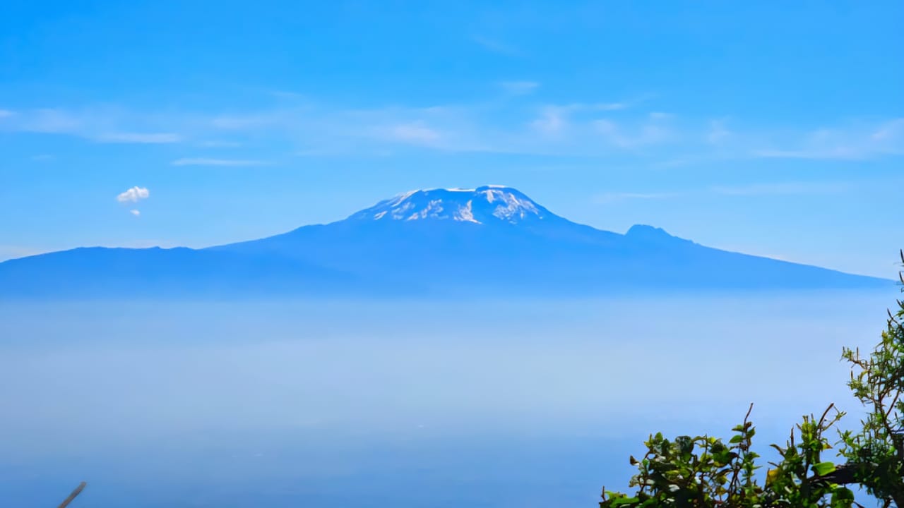 A clear view of Mount Kilimanjaro's snowy peak rising above a thick layer of white clouds under a blue sky.