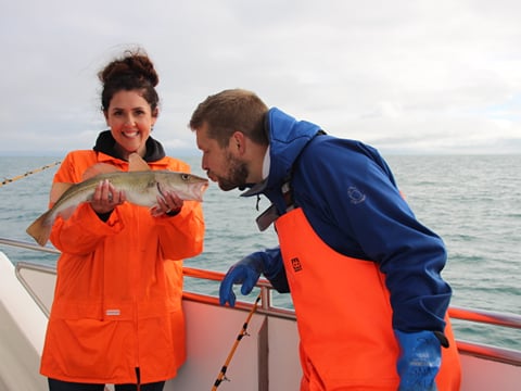 Reykjavik City Walk and Sea Angling, photo 19