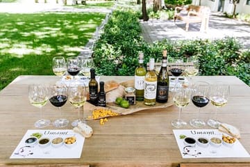 Full-Day Franschhoek Wine Tour from Cape Town