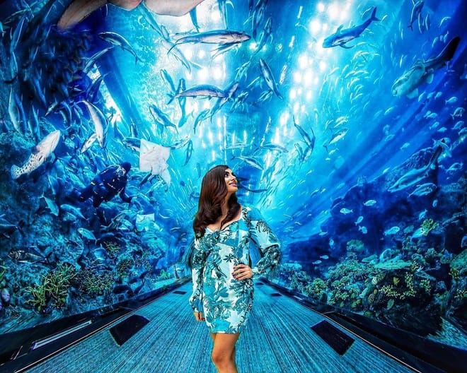 Dubai Aquarium & Underwater Zoo