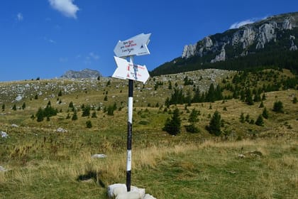 4-Day Carpathian Trek: Bucegi Mountains and Piatra Craiului National Park
