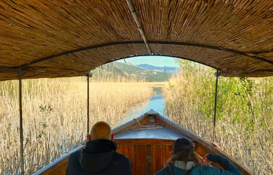 Private Birdwatching and Photography Tour on Lake Skadar