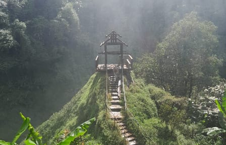Explore Waterfalls and Temples in Southern Laos