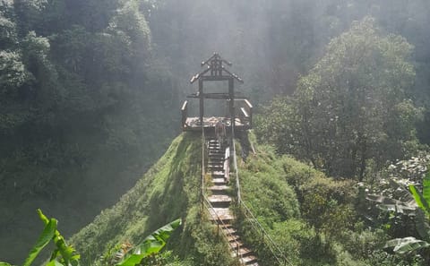 Explore Waterfalls and Temples in Southern Laos