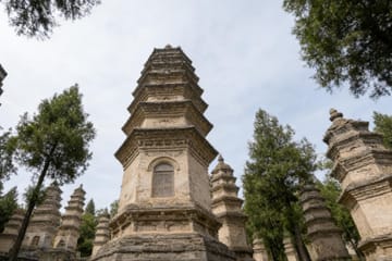 Bullet Train Day Tour from Beijing to Shaolin Temple