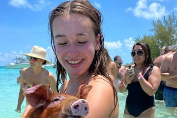 Swim with the Pigs Safari in Bahamas (2hrs)