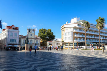 Lisbon to Sintra: Pena Palace and Wine Tasting Tour