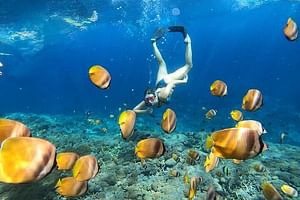 All Inclusive Bali Blue Lagoon and Tanjung Jepun Snorkeling