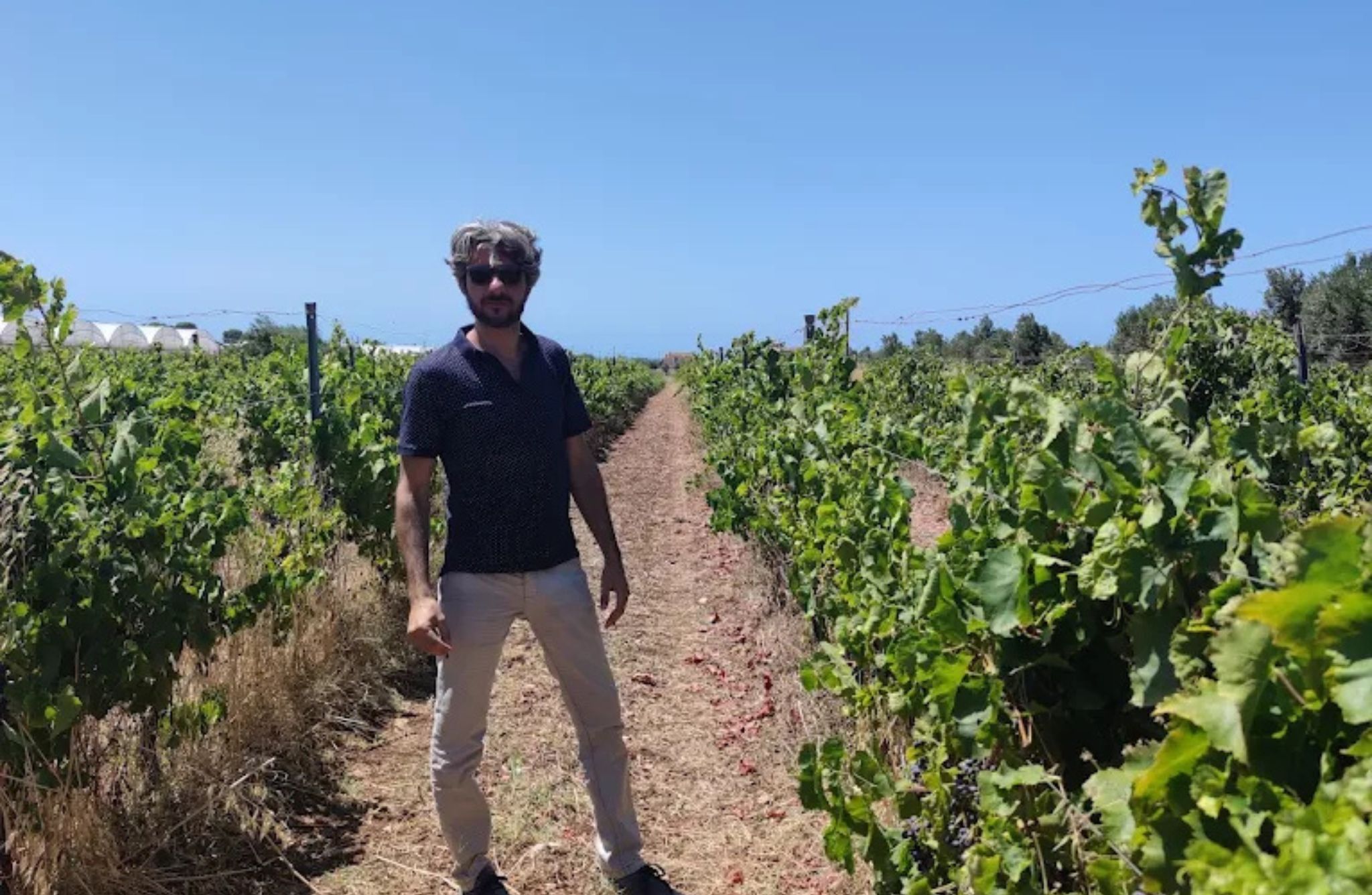 Winery Tour with Wine Tasting & Local Food near Ragusa