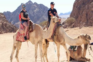 Desert Adventure: Buggy, Camel Ride, Dinner & Stargazing in Sharm El Sheikh