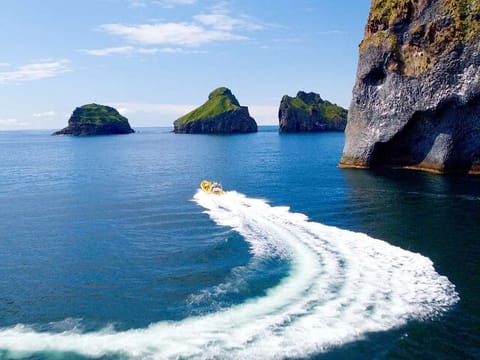 Private Tour to Westman Islands with Extra Waterfall Visit, photo 3