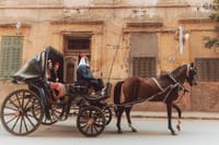City Tour By Horse Carriage One Hour in Luxor - Luxor
