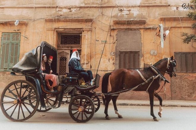 City Tour By Horse Carriage One Hour in Luxor - Luxor