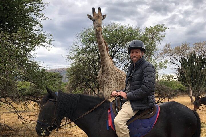 Tourists riding horses through wildlife reserve on Horseback Safari from Johannesburg with Deeprift Ventours