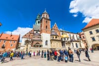 Wawel Castle, Cathedral and Wieliczka Salt Mine Guided Tour with Lunch  6