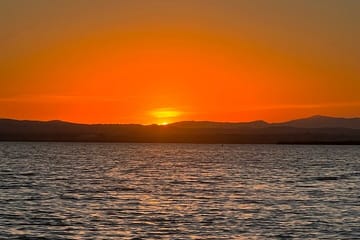 Albufera Boat Tour and Paella Meal from Valencia
