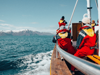 Húsavík: Small-Family Run, Responsible Whale Watching, photo 31