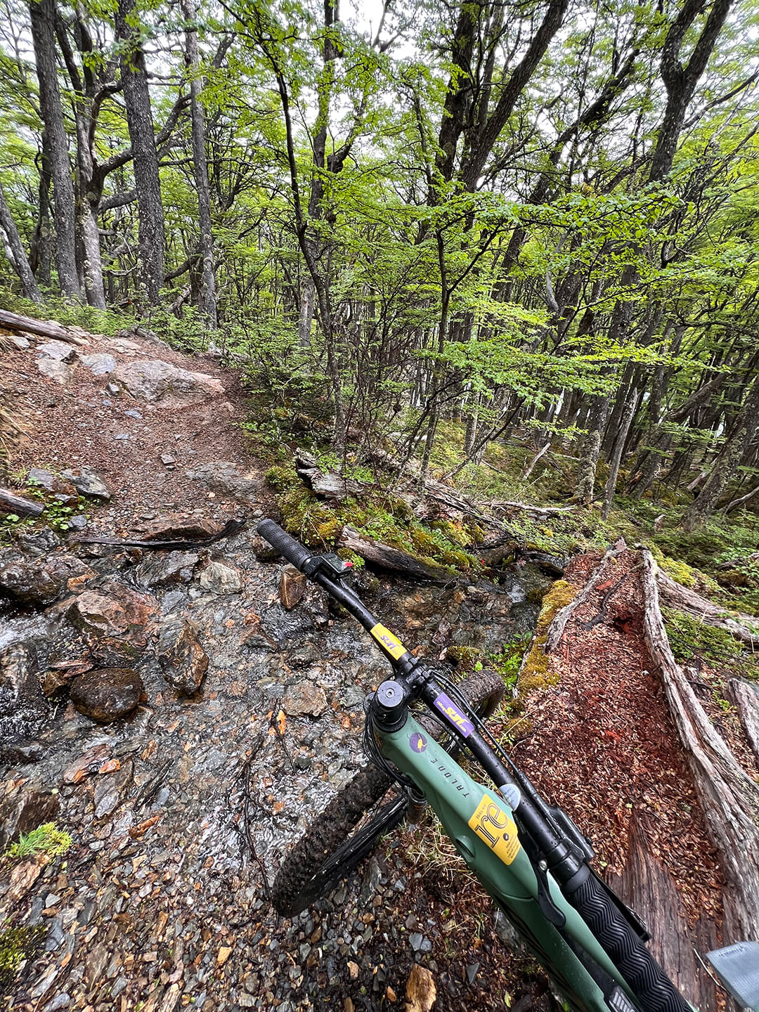 Una aventura en bicis MTB en el Bosque cercano a Lago del Desierto, Argentina