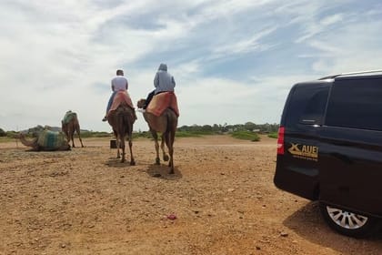 From Tangier: Cap Spartel and Hercules Cave with Camel Ride