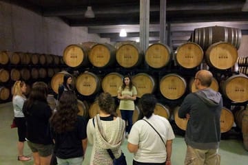 Private Tour From Porto: Douro Valley Wine Tour