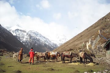 7 Day Jomolhari Base Camp Trek in Bhutan