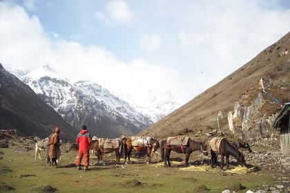 7 Day Jomolhari Base Camp Trek in Bhutan
