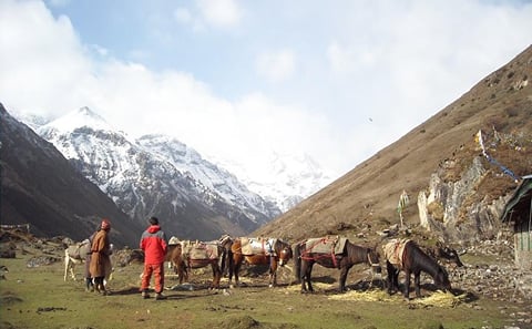 Jomolhari Base Camp Trek: 7 Days in Bhutan's Himalayas