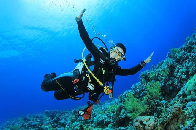 Professional Scuba Diving Full Day Trip With Transfer – Hurghada