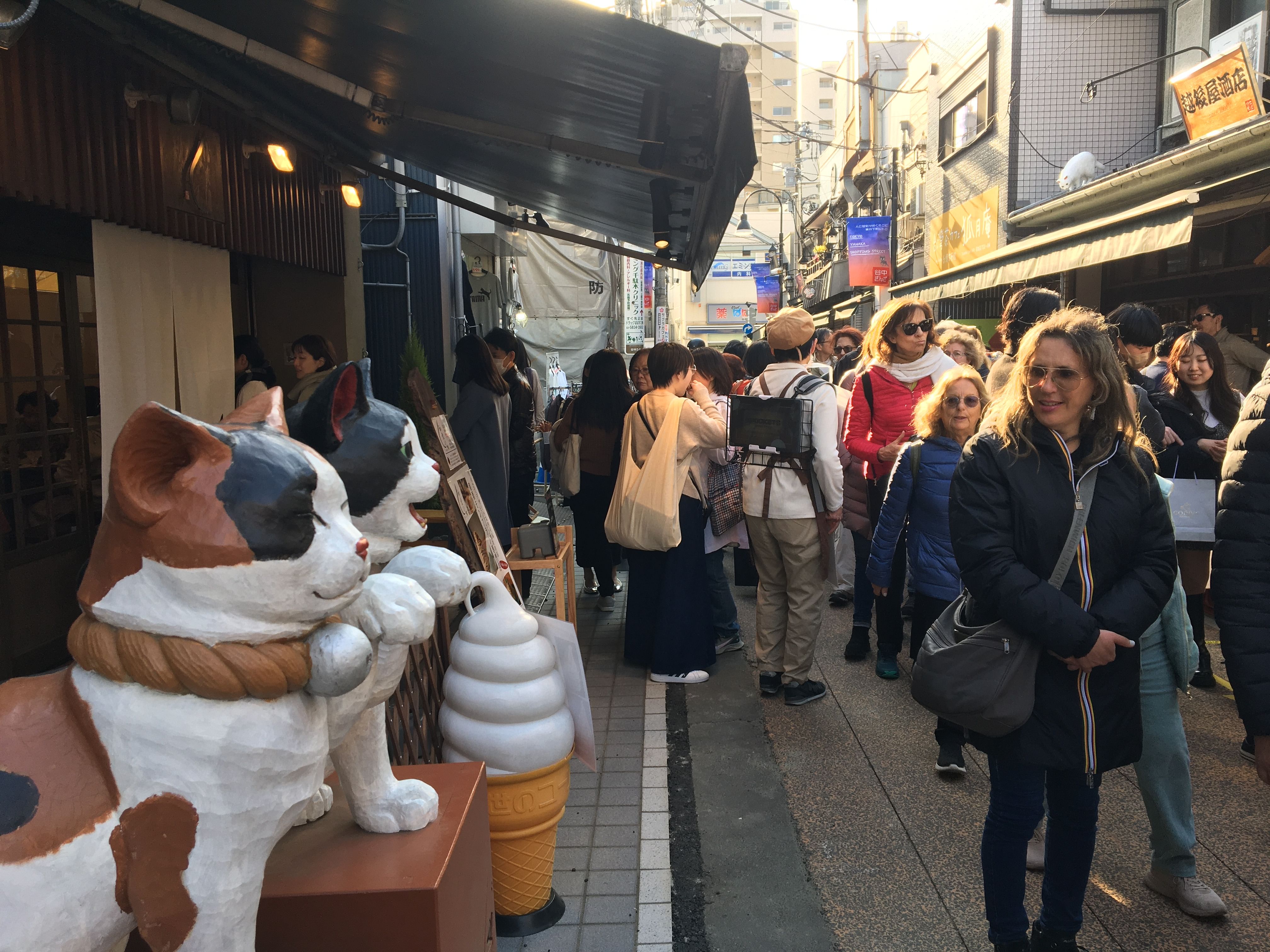 Home Visit in YANAKA with Homely and Local Experience and Tour