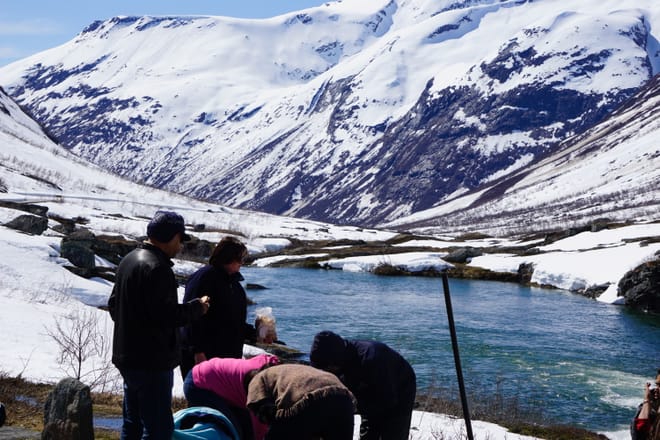 Ålesund-Geiranger-Trollstigen-Ålesund 5