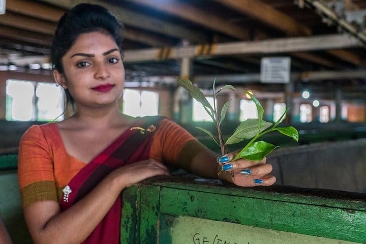 The Secret Escapes | 14 Days