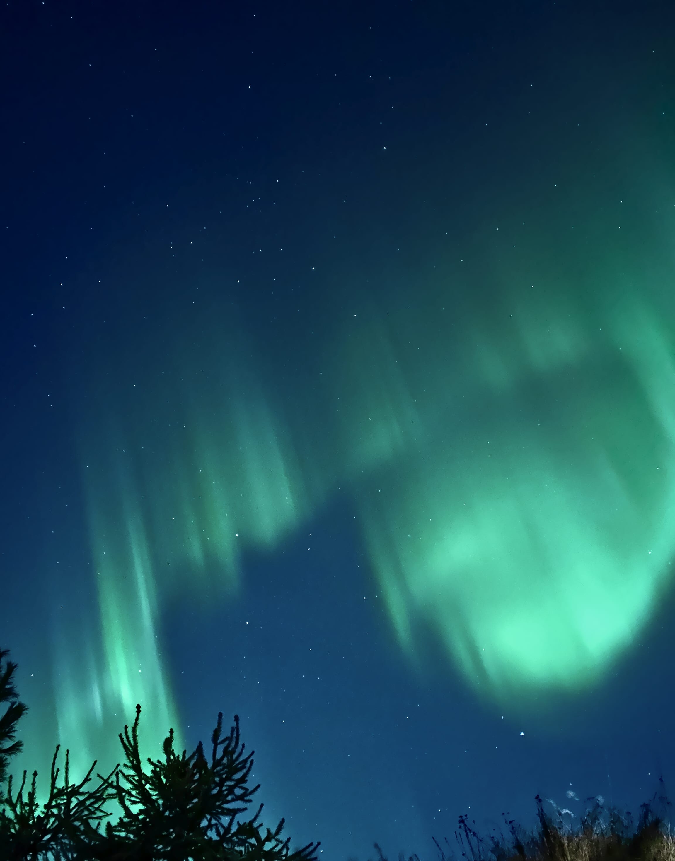 A bright aurora curtain drifting across the night sky.
