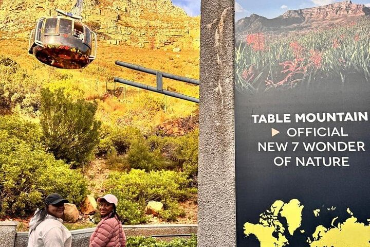 Table Mountain Bo Kaap Penguins and Cape Point Small Group Tour