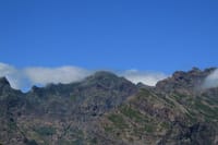 Madeira Sea Cliff and Camara de Lobos 4WD Half Day Tour 7