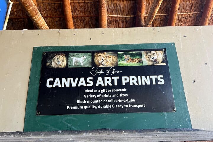 Giraffe Encounter and Lion Park with Wine Tasting in Stellenbosch