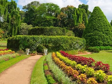 Five-Day Adventure Tour in Kandy, Sri Lanka