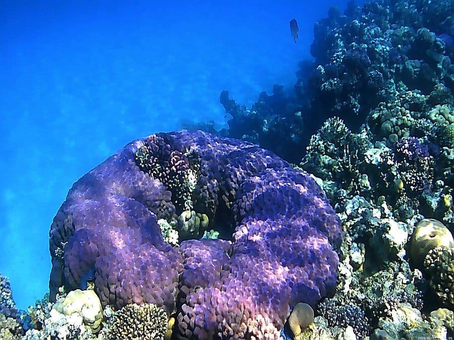 trip to the Valley of the Nile