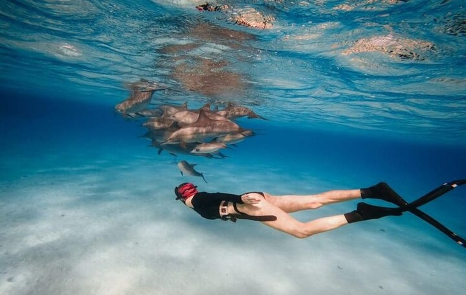 Snorkeling Tour at Sataya Dolphin House in Marsa Alam