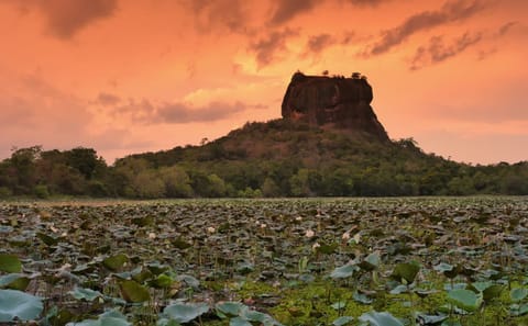 Dambulla and Sigiriya Full-Day Cultural Adventure Tour