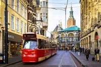 Rotterdam, The Hague & Delft Private VIP Car Tour 4