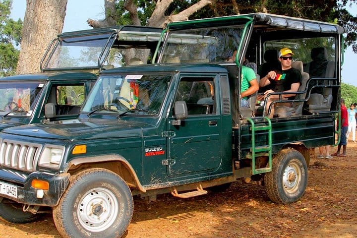 Udawalawe National Park Safari with Naturalist