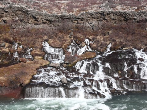 View of Hraunfoss - waterfall that comes from beneath a lava field