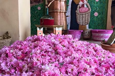 Morocco 11 Days Tour from Casablanca via Sahara Desert