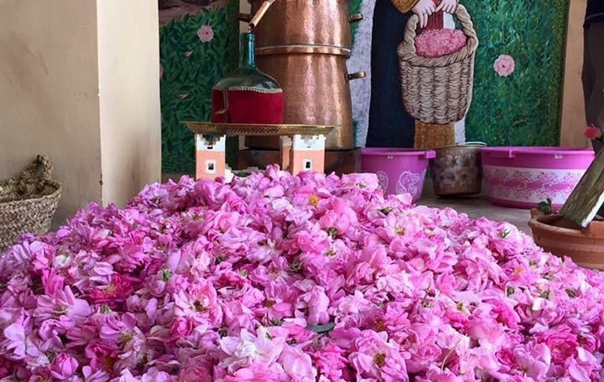 Morocco 11 Days Tour from Casablanca via Sahara Desert