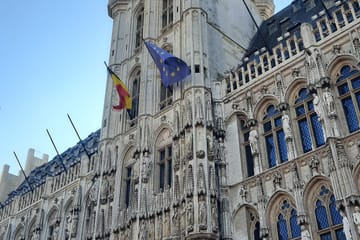 Small-Group Day Tour of Brussels from Cologne