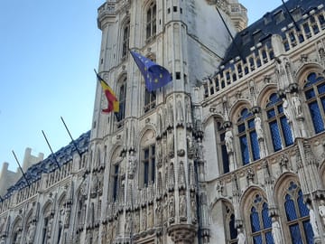 Small-Group Day Tour of Brussels from Cologne
