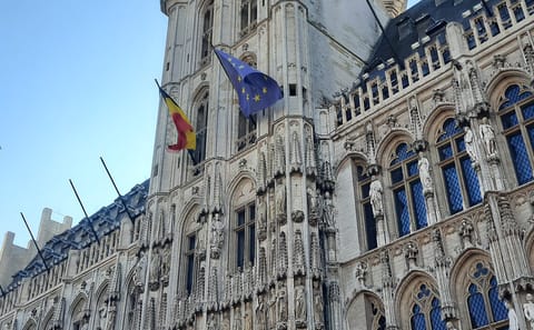 Small-Group Day Tour of Brussels from Cologne