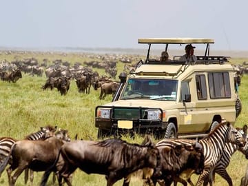 10-Day Big Five Safari Adventure in Laikipia County, Kenya
