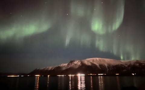 Aurora by Boat: Reykjavik Adventure